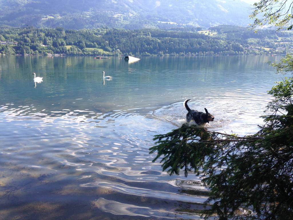 Ruhige Wohnung Mit Schoenem Eigengarten In Seeboden Am Millstaettersee Номер фото